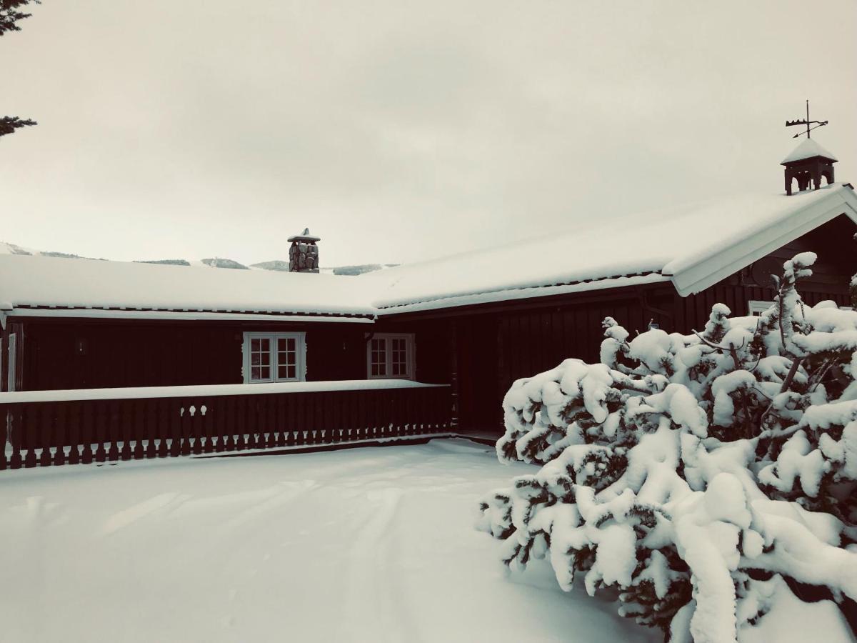 Vestlia Ski Geilo Exteriér fotografie